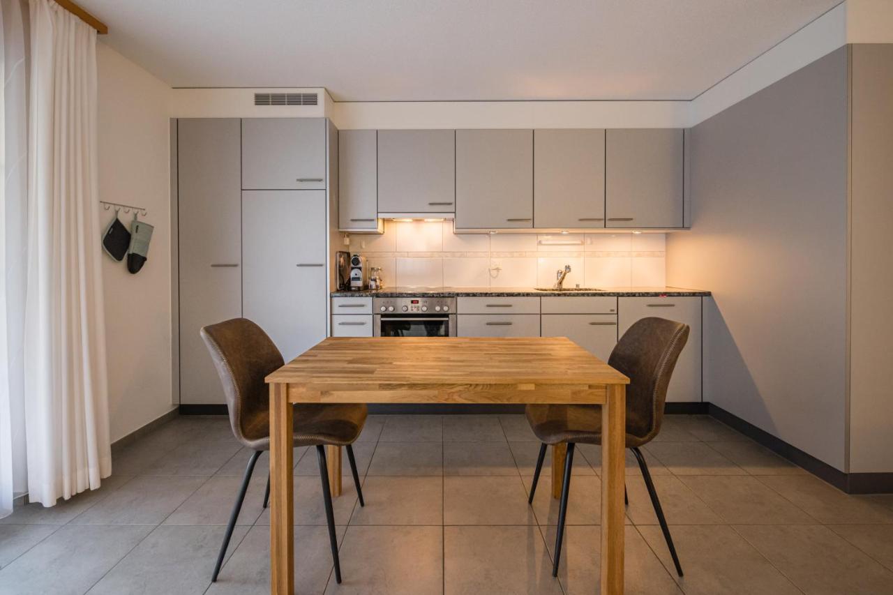 Apartment Truemmelbach, Comfortabl & Cozy, Private Terrace With Best Views Lauterbrunnen Extérieur photo